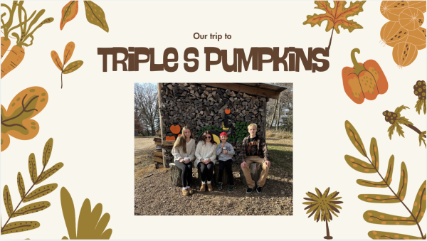 Check out the fun things to do at Triple S Pumpkins in this article!